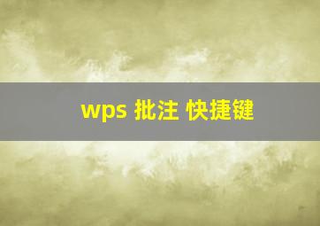 wps 批注 快捷键